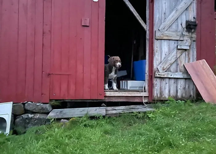 Hanoya- Vesteralen * Myrland