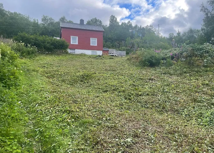 Hanoya- Vesteralen * Myrland