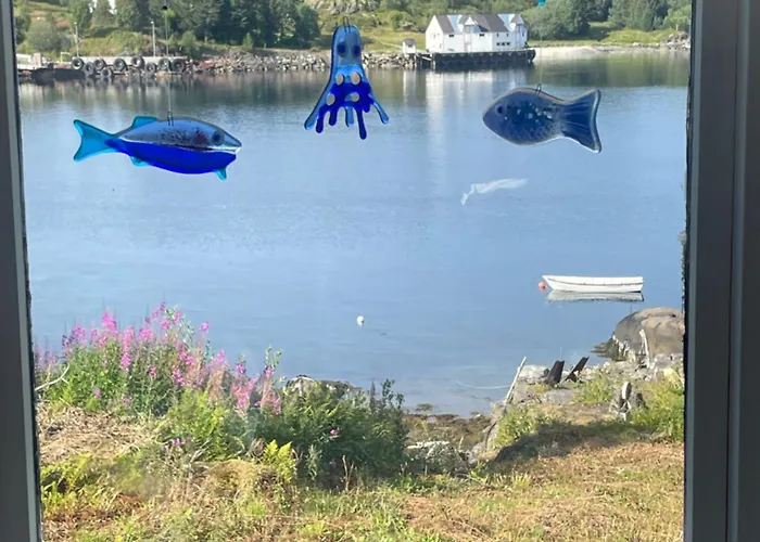 Semesterbostad Hanoya- Vesteralen