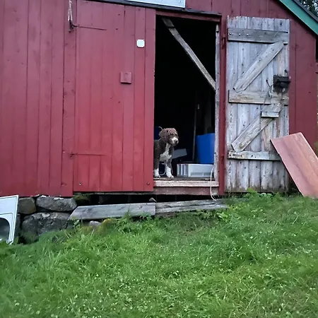 Hanoya- Vesteralen * Myrland